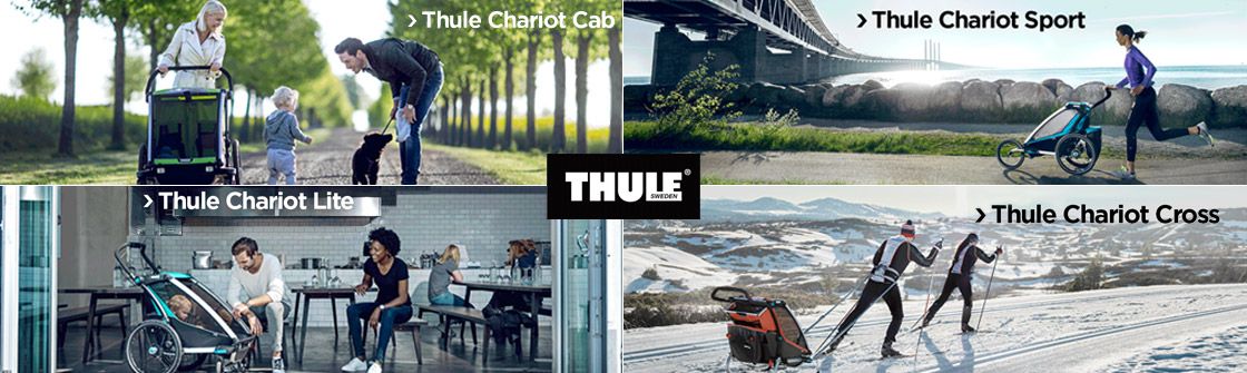 Thule Chariot Fahrradanhänger