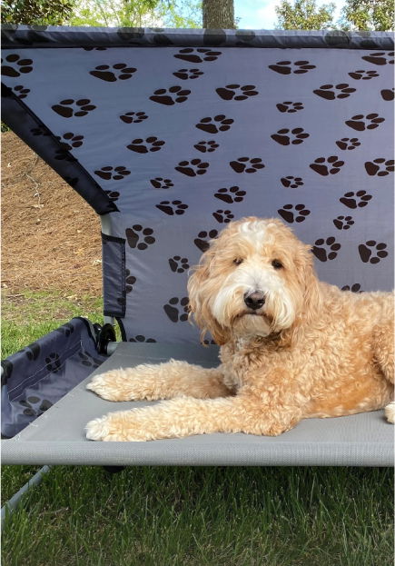 Produktkategorie Camping mit Hund image