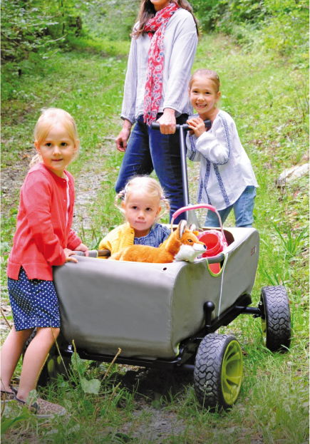 Produktkategorie Handwagen Bollerwagen image