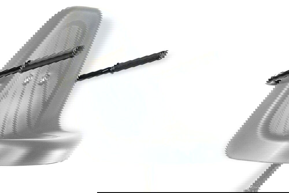 Dino-Cars Armlehne (Schwarz)